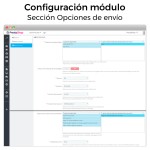 Seur carrier module for PrestaShop